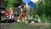 Die Rosenheim-Cops -38- Schwarze Ikonen