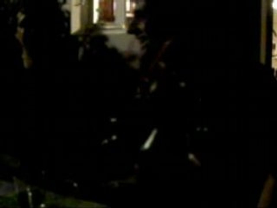 Versaillaises à moustache et Punk à chier by night