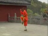 Shaolin Da Hong Quan Er Lu - Shi De Yang