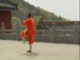 Shaolin Da Hong Quan San lu - Shi De Yang