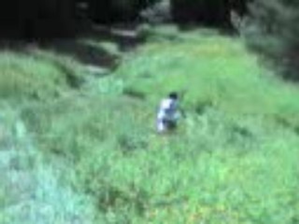 vtt2