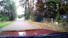 Durch ein Waldgebiet mit dem Audi 80