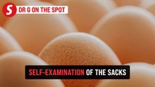EP341: Why boys need testicular awareness | PUTTING DR G ON THE SPOT