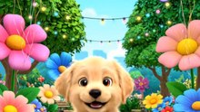 Dog & Cat Comady ep-9