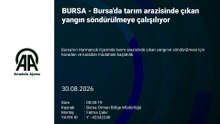 Bursa'da tarım arazisinde çıkan yangın söndürülmeye çalışılıyor