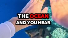 Le son le plus terrifiant des profondeurs de l'océan 😱