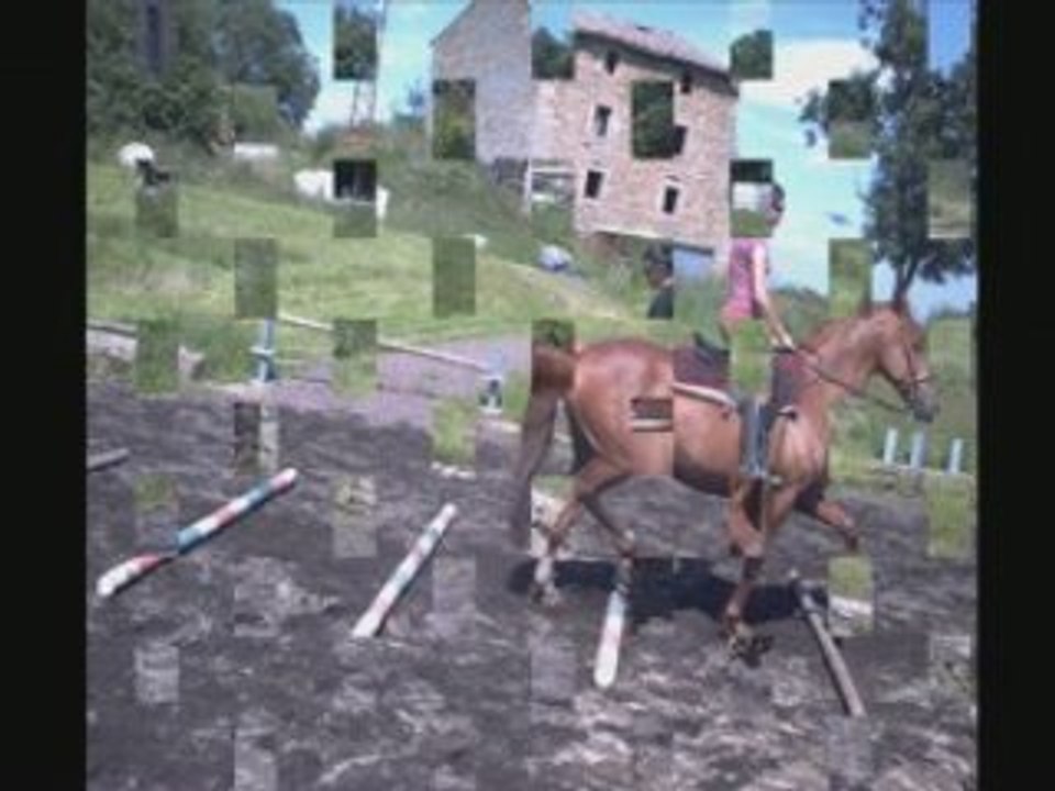 montage