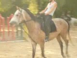 Cession a la jambe au galop