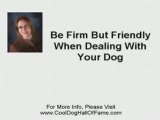 Dog Care | Dog Training Tips