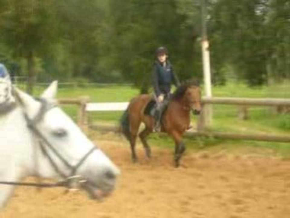 Détente au trot avec Divin