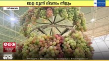 രുചിയൂറും വിവിധയിനം മുന്തിരികളുമായി ഖസീം; തദ്ദേശീയ കർഷകരുടെ ഉൽപന്നങ്ങളോടെ മുന്തിരി മേള ആരംഭിച്ചു