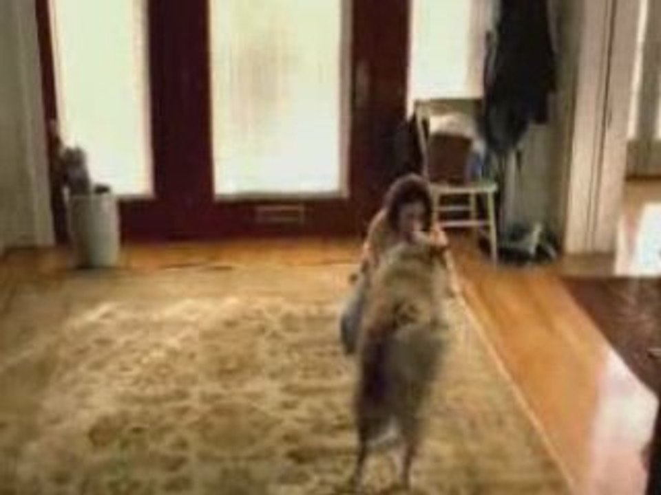 la soif du chien!!!!