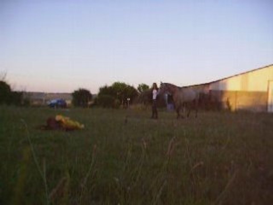 22 juillet 2008 partie 1