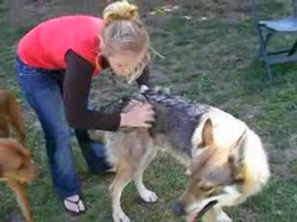 Gaëlle et Loup