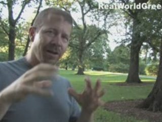 Save the Birds, Keep your Cat safe