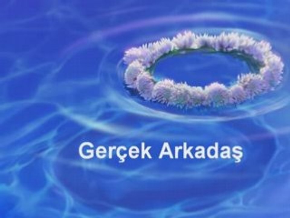 Arkadaslik