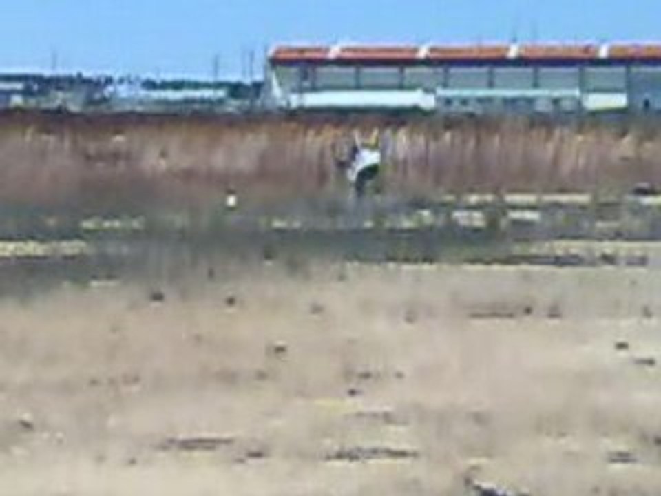 alinin trex 450 se v2 18052008040