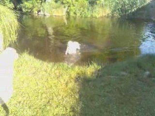 Deehane rapport à l'eau 23-07-08