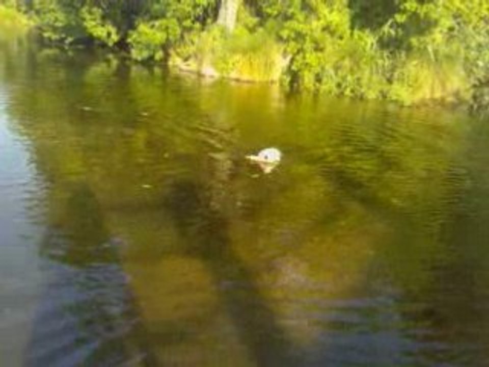 Deehane rapport à l'eau 23-07-08 bis