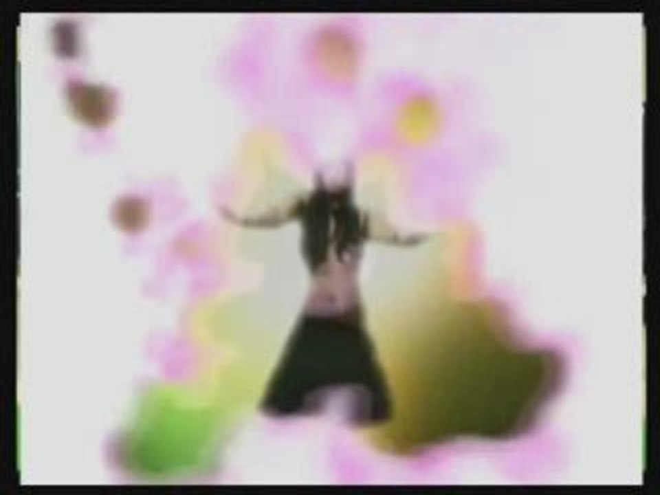 The Program Promo Video