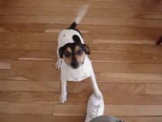 Elliott est content !