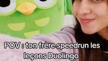 Mon frère speedrun les leçons duolingo 📗