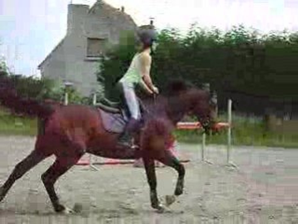 MOV09570