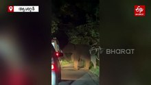 അതിരപ്പിള്ളിയിൽ ആംബുലൻസിന് നേരെ പാഞ്ഞടുത്ത് കാട്ടാന; യാത്രക്കാർ രക്ഷപ്പെട്ടത് തലനാരിഴയ്ക്ക്