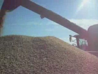 Moisson 2008 par le chofardu56