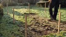 I built house 5/100