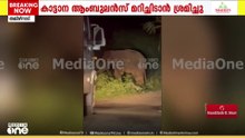 'ഫോറസ്റ്റ് ഓഫീസർ കുഴപ്പമില്ലെന്നാ പറഞ്ഞെ; ആന റോഡിലേക്ക് ഇറങ്ങി വണ്ടി മറിച്ചിടാൻ നോക്കി'