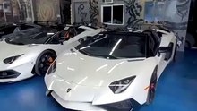 Descobrindo a beleza dos carros! #Carros #Automobilismo #Pa…