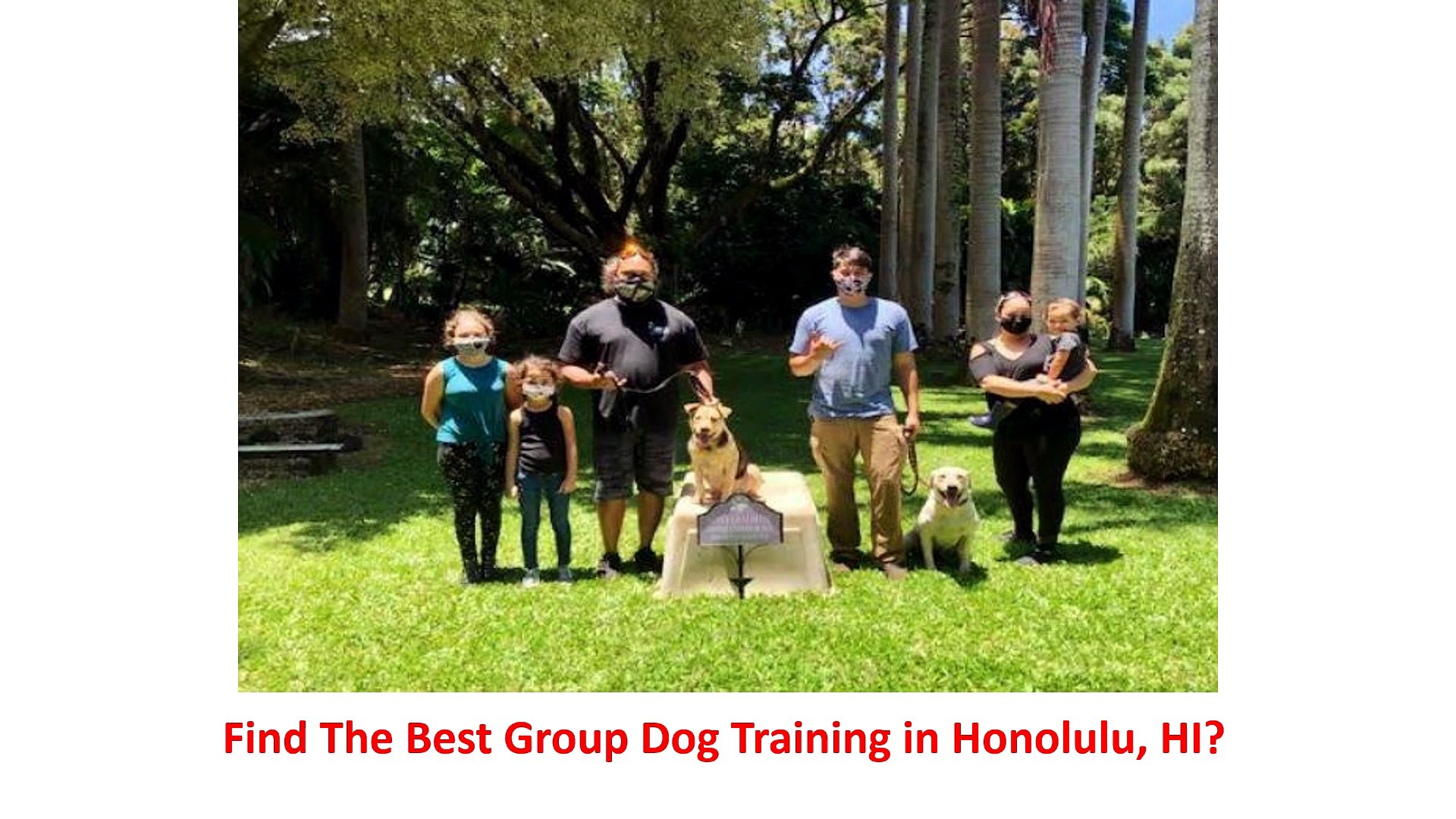 Alpha K-9 Dog Training - #1 Group Dog Training in Honolulu, HI
