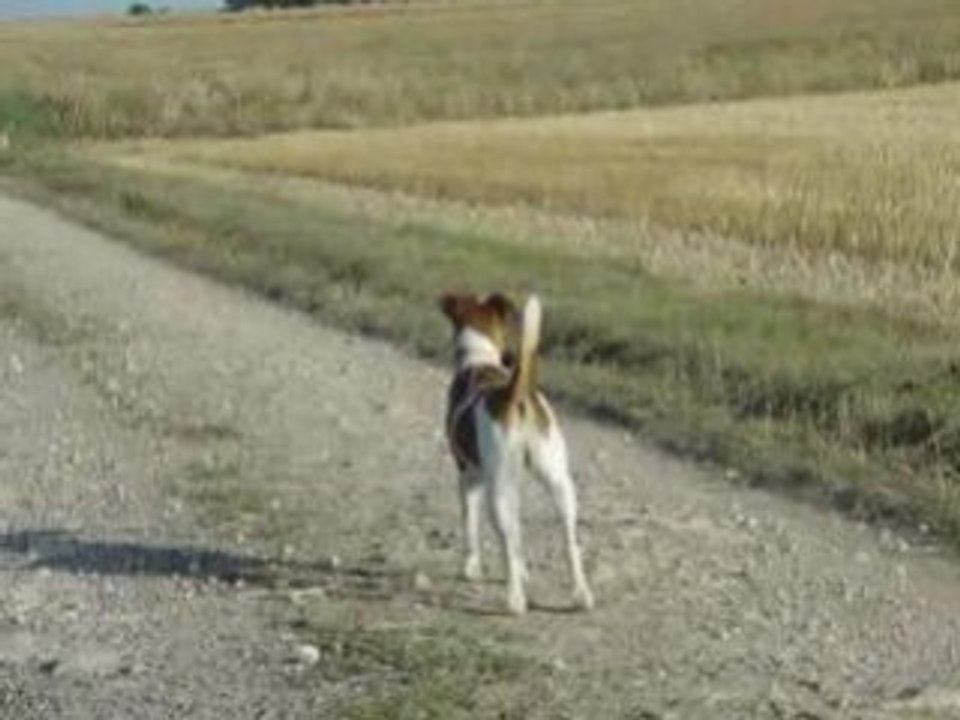 Essai vidéo avec Astuce