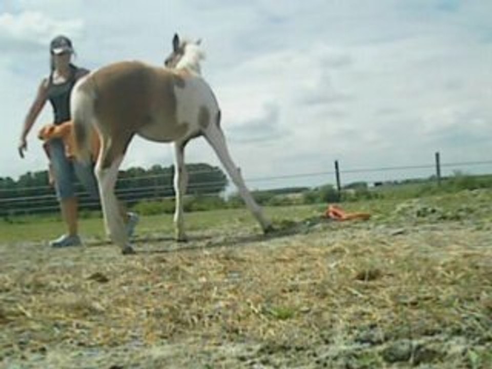 Danielle 23_0002