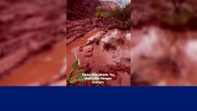 Inundação repentina no Grand Canyon nos EUA, 20 pessoas estariam desaparecidas.