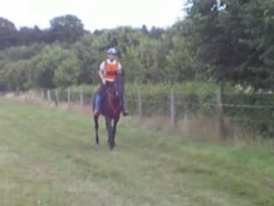 Arrivée Brotonne Titgo