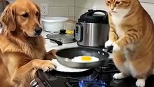 😂 Cat vs Dog Cooking Challenge! The Ending Is Hilarious 🐱🐶🍳