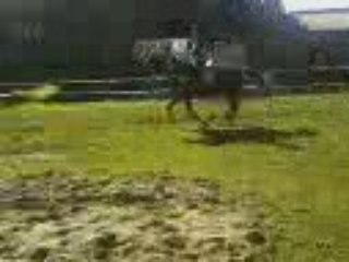 camille et alpha en obstacle