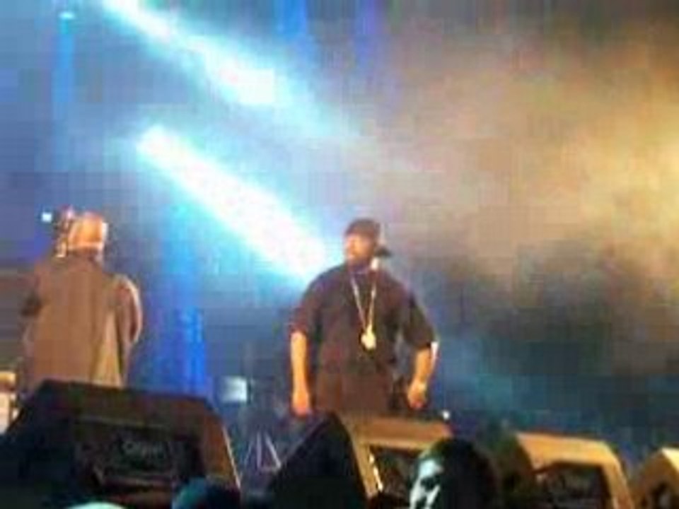 Ice Cube - Live @ Dour 08 (9)
