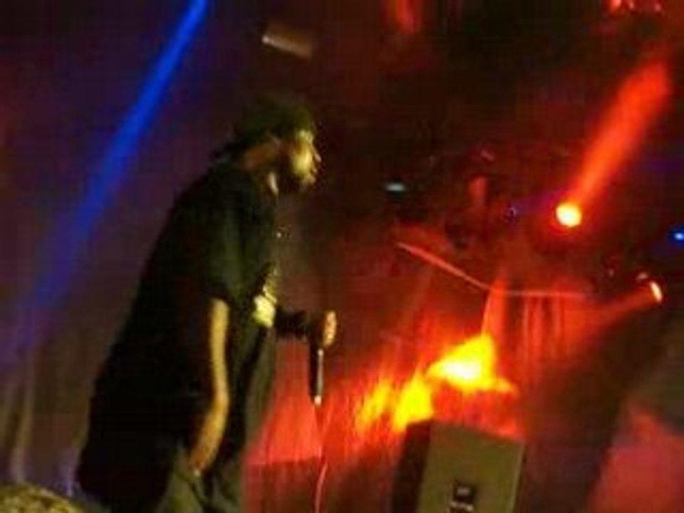 Ice Cube - Live @ Dour 08 (7)