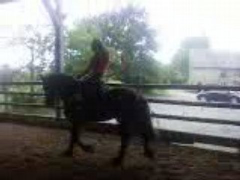 moi sur frerot o trot assis miracle