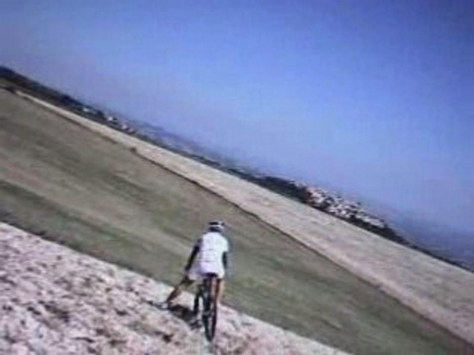 Stefano - La Lepre