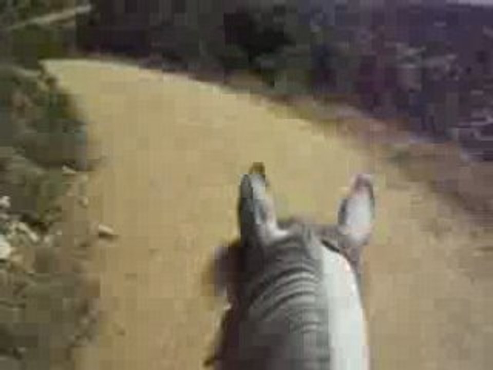 Caméra embarquée : balade à cheval