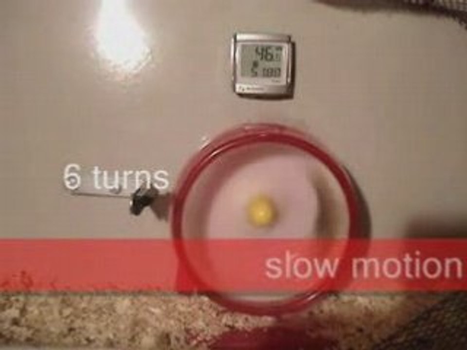 Turbo Hamster
