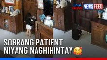 Halos 1 oras naghintay! 6-anyos, sabik makita ang baby cousin | GMA News Feed