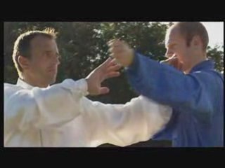 TAIJI-QUAN Yang Style LITTLE SAN SHOU