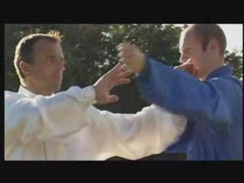 TAIJI-QUAN Yang Style LITTLE SAN SHOU