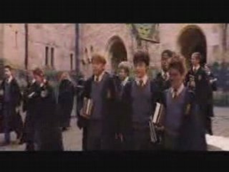 Acidentelly in love ron et hermione