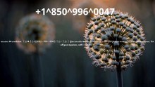 ≋⟪CoMpLeTe%Guide-[ⲨⲨ_HashTaG] Coinbase® HELP DESK© SUPPoRT℗ Phone NuMber (OfficiAl)
